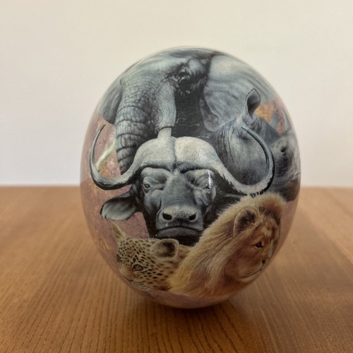 Ostrich egg decorated with map - decorated,