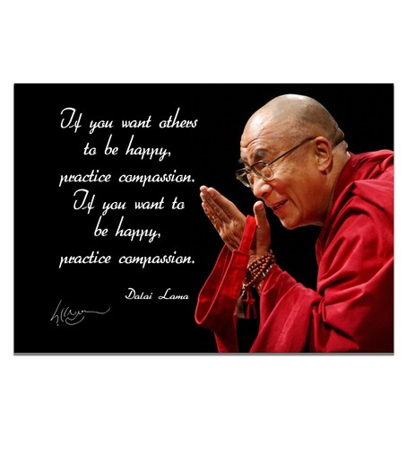 Poster citazione compassione - citazione,