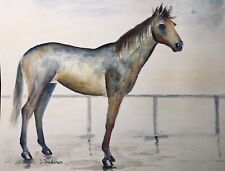 Arte originale del cavallo firmata, dipinto ad acquerello, equino, equestre,arte, 14x11 In