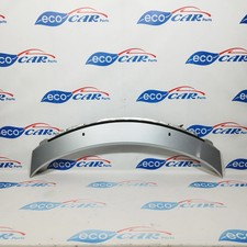 Gocciolatoio grigio argento