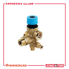 Gruppo Collettore Entrata Fredda Ricambi Caldaia Immergas Avio/Boil/Zeus 3018342