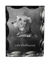 Levriero Irlandese, Irish