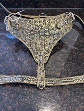 Collare cane borchiato