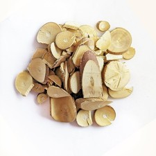 Ramulus Mori /桑枝/Sang Zhi