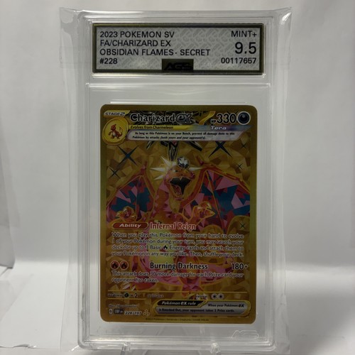 Charizard 228 197 fiamme - charizard,