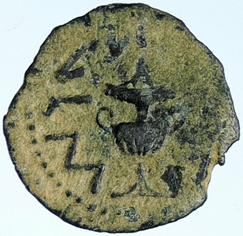 Autentica antica guerra - antica,