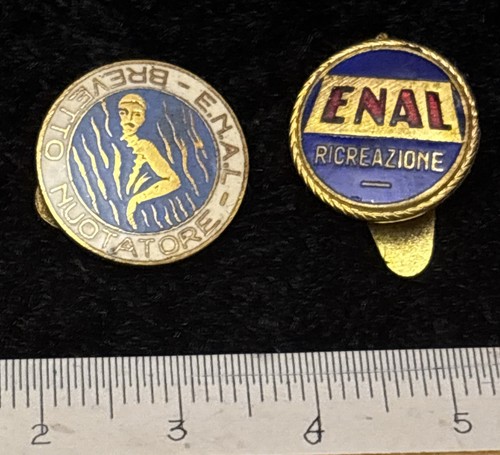 Enal nuoto ricreazione 2 - nuoto,