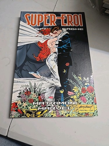 Supereroi grandi saghe n - supereroi, le