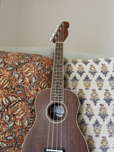 Ukulele concerto classico - ukulele,