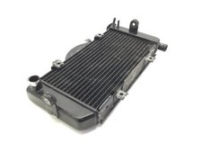 RADIATORE ACQUA LIQUIDO