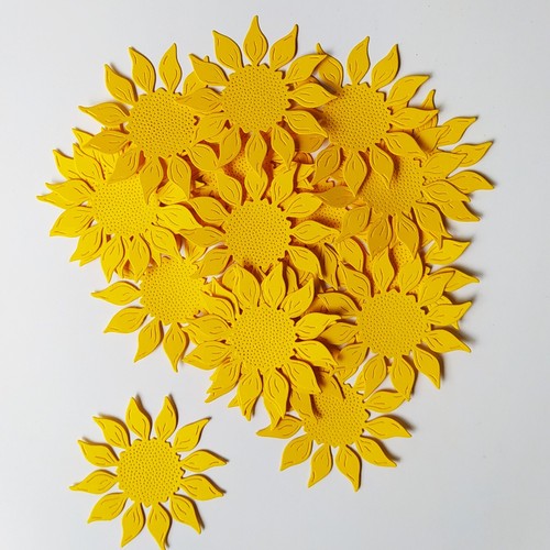 100 fustelle girasole - x,