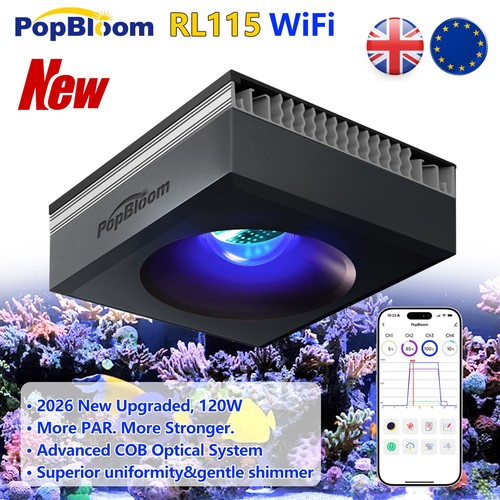 Popbloom nuovo rl115 - rl115, wifi