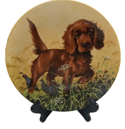 The irish setter piatto - irish,