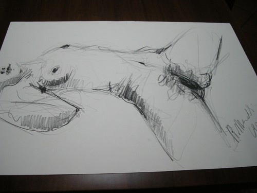 Disegno nudo roberto - di,