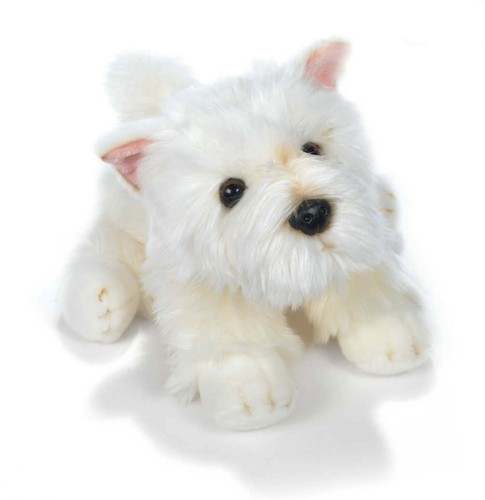 Peluche cane westie - cane, plush