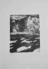 VELASCO VITALI ( Bellano 1960 )  OPERA Litografia Firmata Numerata 50 x 35 cm