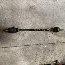 705020019 Semialbero ant