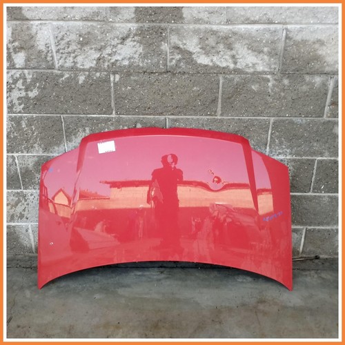 Cofano motore anteriore fiat - cofano,