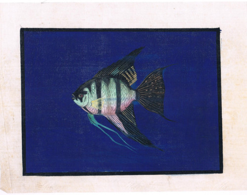 Dipinto fatto mano pesce - dipinto,