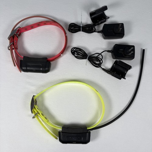 Due collari gps garmin dc40 - gps,