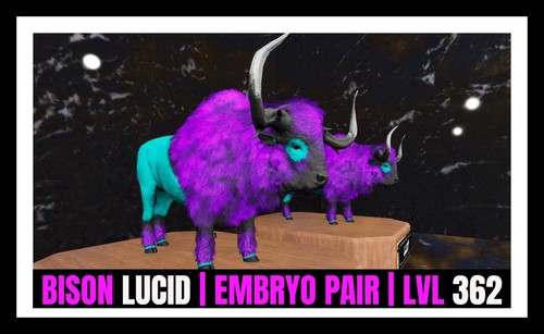 Ark survival ascended pve - ark,