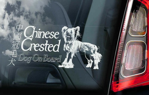 Adesivo auto cane crestato