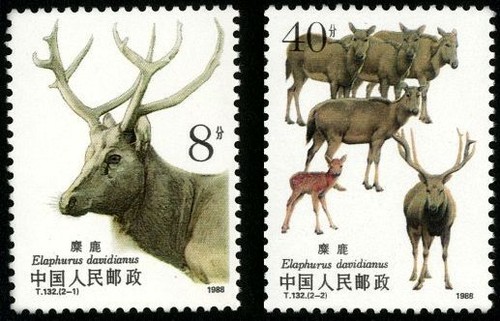 Cina 1988 t132 - cina, francobolli