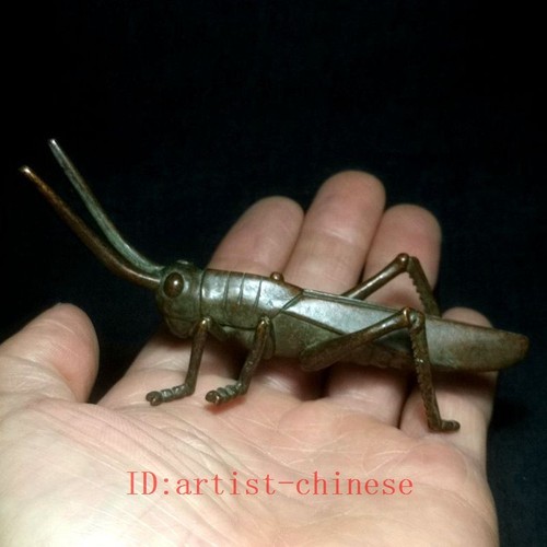 Statua locusta intaglio bronzo
