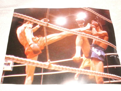 Muay thai boxe tailandese - thai,