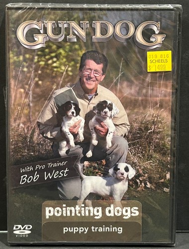 Gun dog pointing dogs - gun, dog: