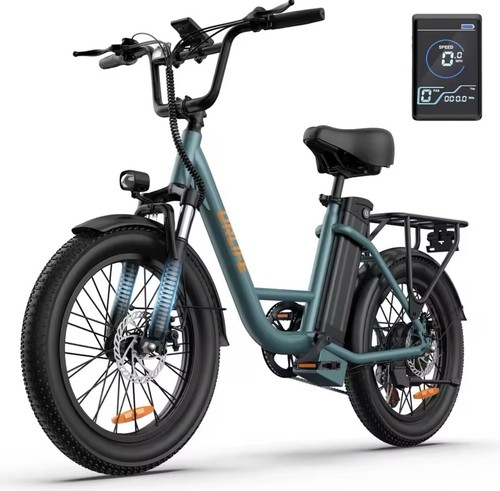 Bici elettrica bike 250w fat - bici,