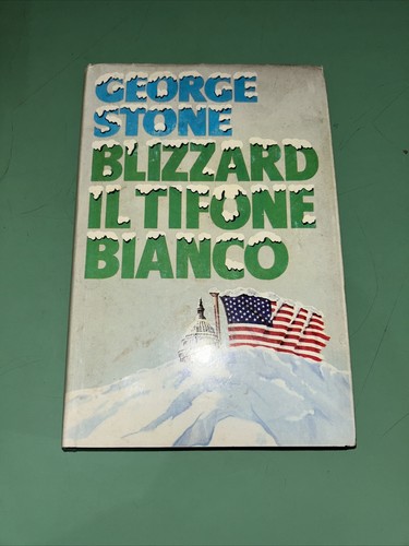 Libro romanzo blizzard - libro,