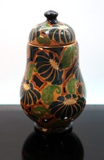 La Salamandra. Perugia