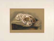 JACK RUSSELL TERRIER ORIGINAL