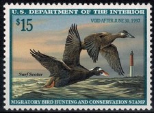 1996 STATI UNITI USA PERMESSO DI CACCIA - ANATRA SURF SCOOTER - 1 V. MNH MF0222