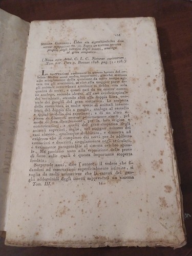 Entomologia muller sitema - g.,