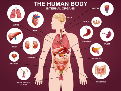 Poster parete diagramma - da,