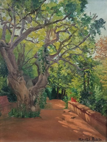 Vue chemin dans la - vue,