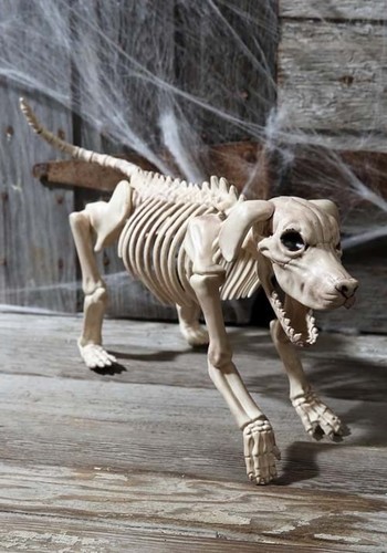 Decorazione halloween 20 - decorazione,