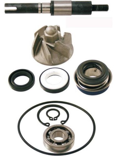 Kit revisione pompa acqua - revisione,