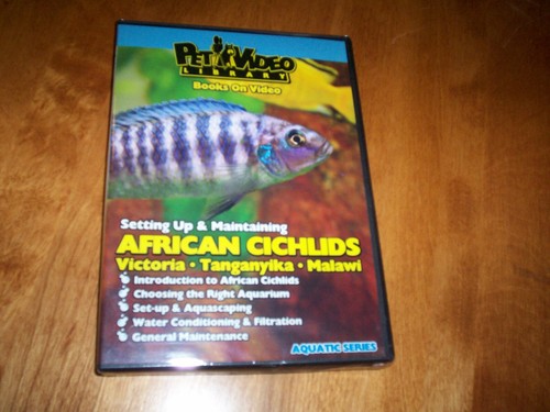 African cichlids victoria - african,