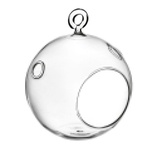 Terrario bottle garden - bottle, sfera