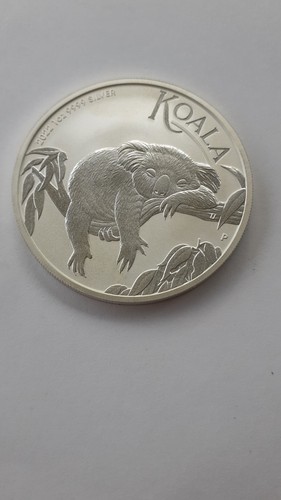 Oncia 2022 koala - oncia,