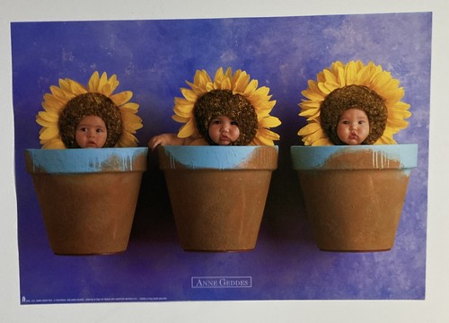 Ann geddes sunflower - ann, "sunflower