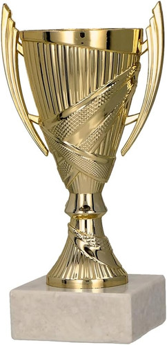 Vincitore coppa trofeo - –,