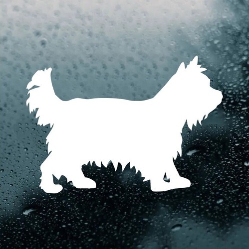 Adesivo yorkshire terrier viny - adesivo,