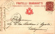 Cartolina - Regno - 1897 - Fratelli Sgaravatti - Saonara - 10 c - FP - VG