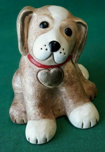 Thun animali raro cane - cane, todo