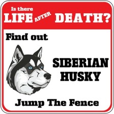Insegna Incrocio Siberian