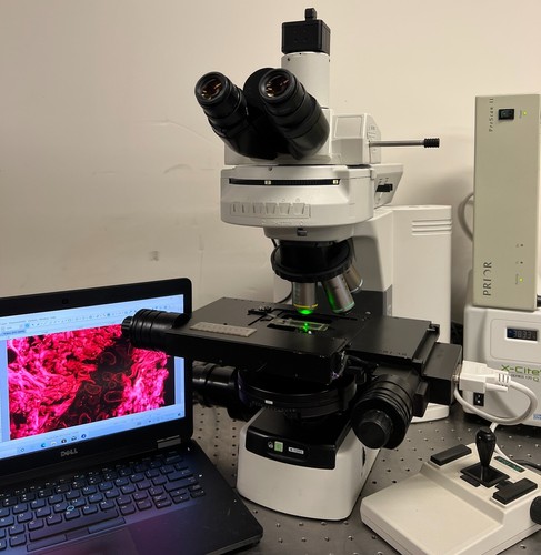 Nikon eclipse 80i microscopio - eclipse,